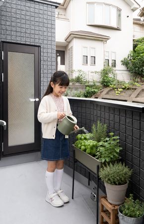 家庭菜園のハーブに水やりをする女の子